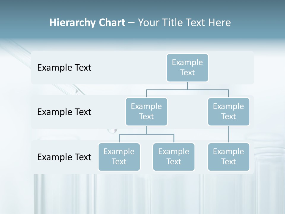 Microbiology Pharmacology Research PowerPoint Template