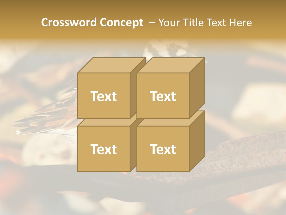 Ruddy Turnstone Post Tommy Thompson Park PowerPoint Template