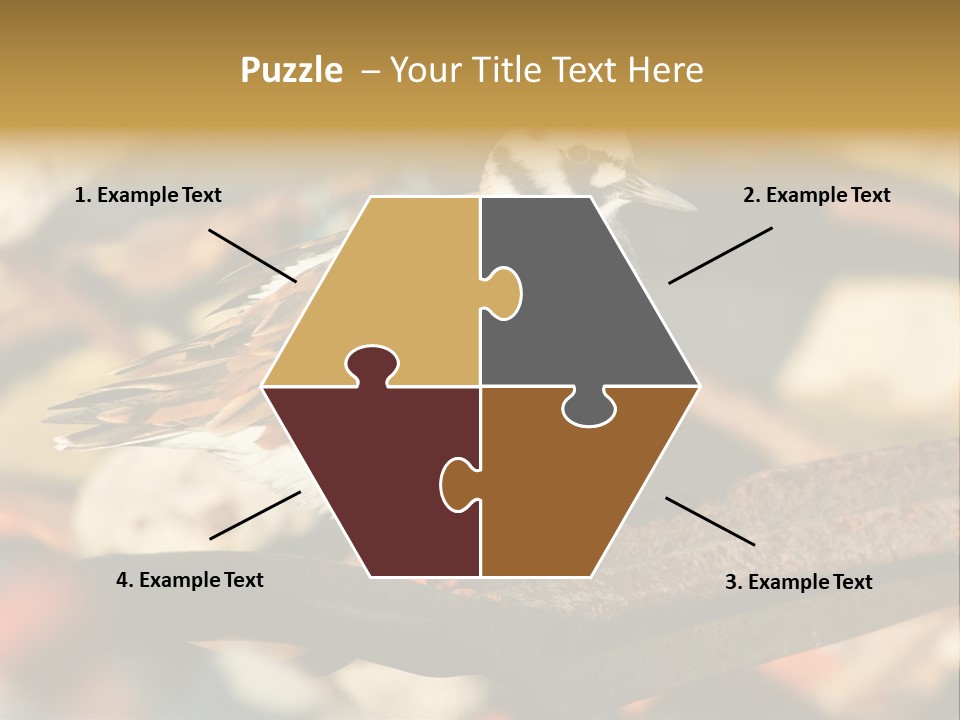 Ruddy Turnstone Post Tommy Thompson Park PowerPoint Template