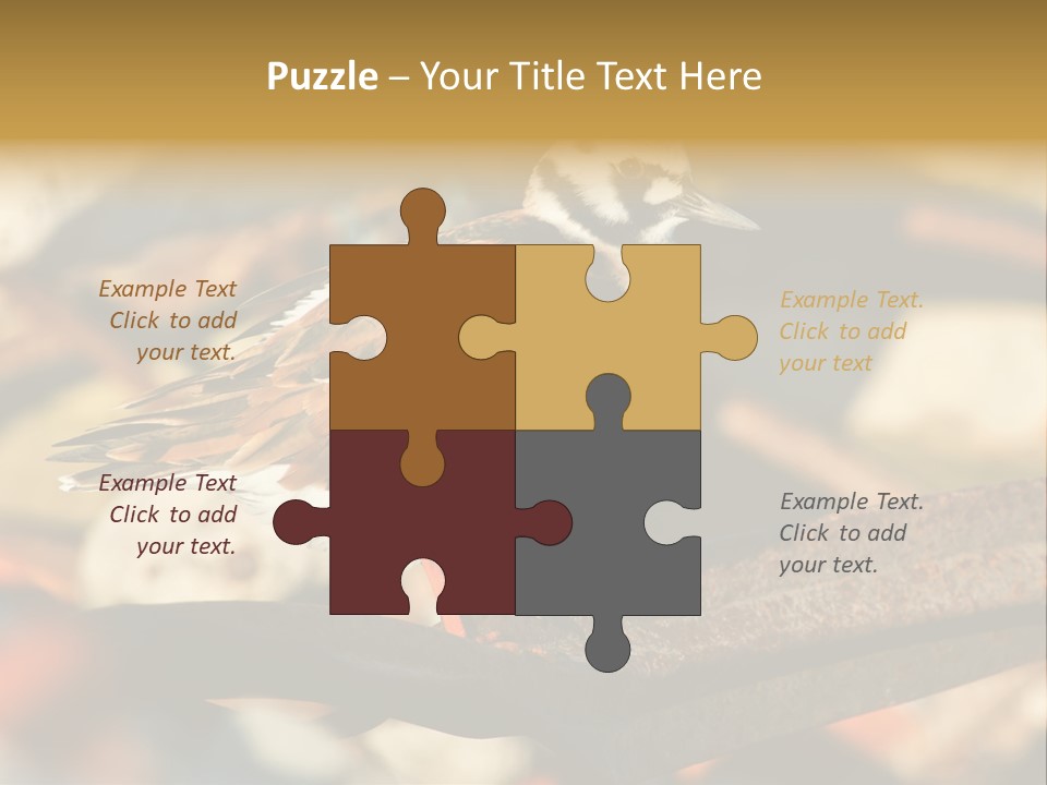 Ruddy Turnstone Post Tommy Thompson Park PowerPoint Template