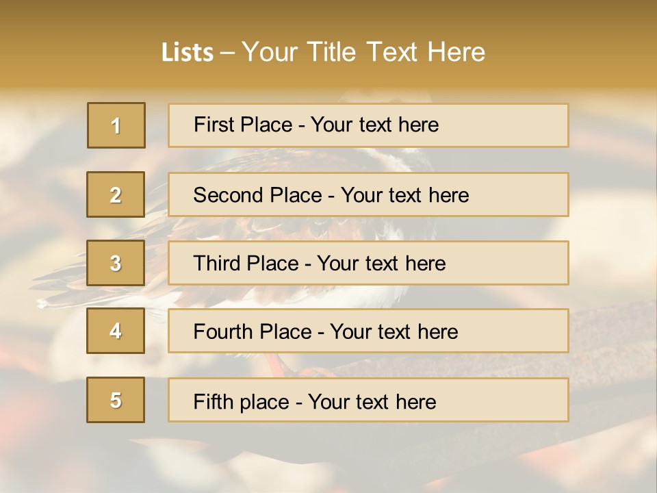 Ruddy Turnstone Post Tommy Thompson Park PowerPoint Template