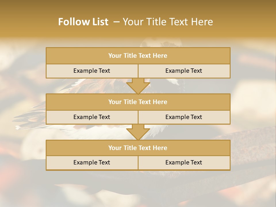 Ruddy Turnstone Post Tommy Thompson Park PowerPoint Template