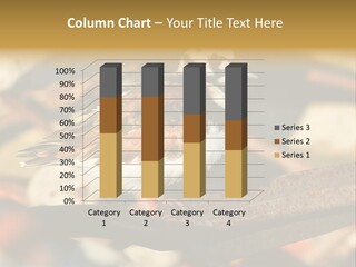 Ruddy Turnstone Post Tommy Thompson Park PowerPoint Template