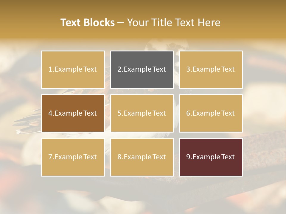 Ruddy Turnstone Post Tommy Thompson Park PowerPoint Template