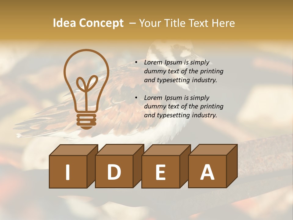 Ruddy Turnstone Post Tommy Thompson Park PowerPoint Template