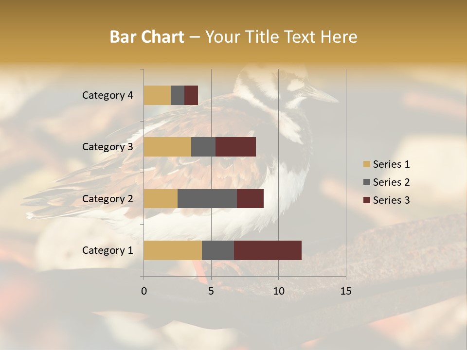 Ruddy Turnstone Post Tommy Thompson Park PowerPoint Template