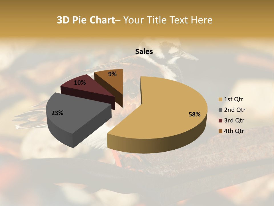 Ruddy Turnstone Post Tommy Thompson Park PowerPoint Template