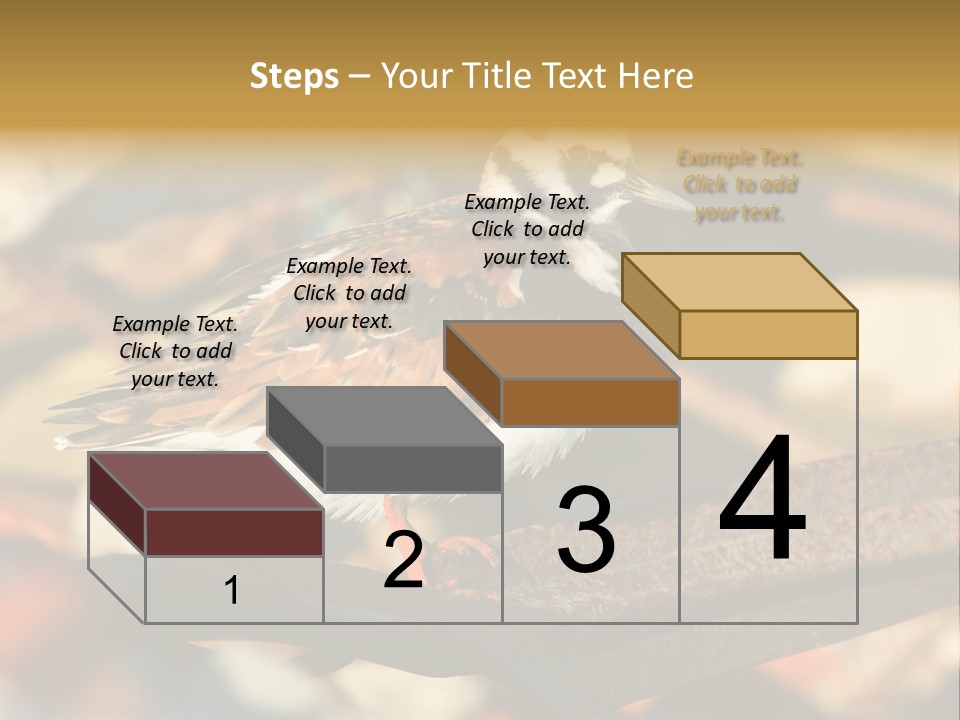 Ruddy Turnstone Post Tommy Thompson Park PowerPoint Template