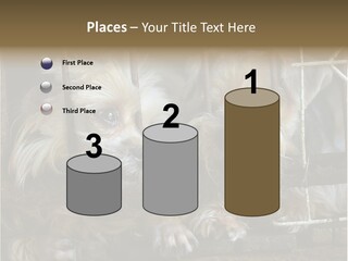 One Loneliness Behind PowerPoint Template