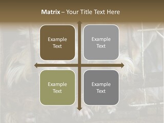 One Loneliness Behind PowerPoint Template