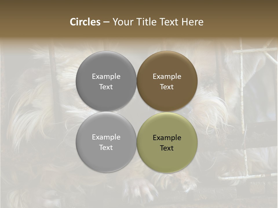 One Loneliness Behind PowerPoint Template