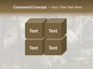 One Loneliness Behind PowerPoint Template
