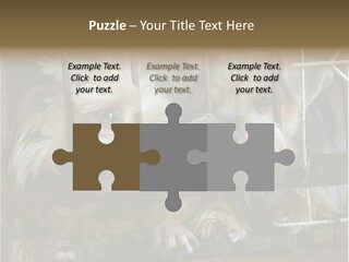 One Loneliness Behind PowerPoint Template