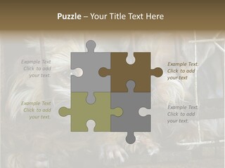 One Loneliness Behind PowerPoint Template