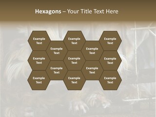 One Loneliness Behind PowerPoint Template