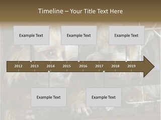 One Loneliness Behind PowerPoint Template