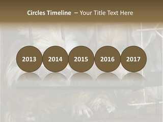 One Loneliness Behind PowerPoint Template