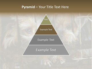 One Loneliness Behind PowerPoint Template