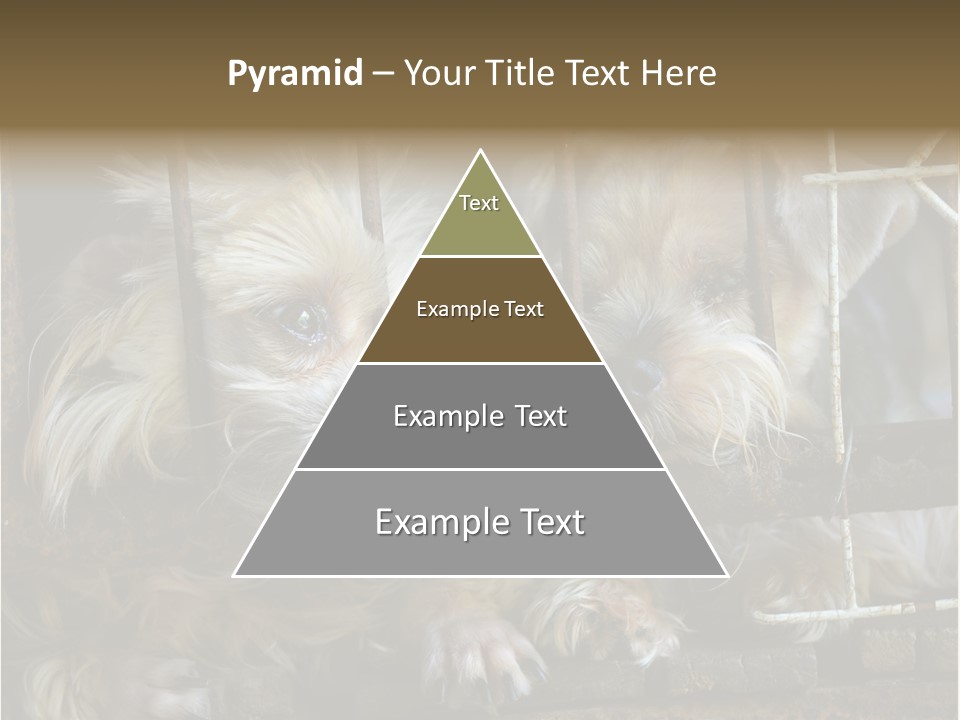 One Loneliness Behind PowerPoint Template