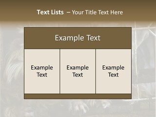 One Loneliness Behind PowerPoint Template