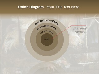 One Loneliness Behind PowerPoint Template