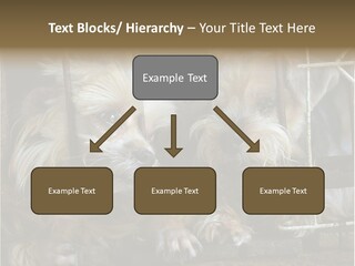 One Loneliness Behind PowerPoint Template