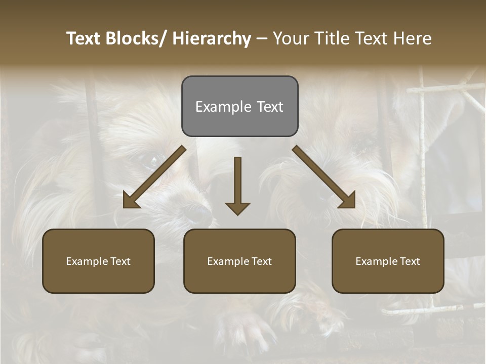 One Loneliness Behind PowerPoint Template