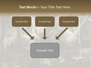 One Loneliness Behind PowerPoint Template