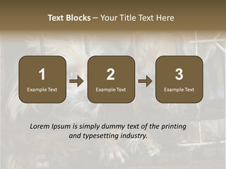 One Loneliness Behind PowerPoint Template
