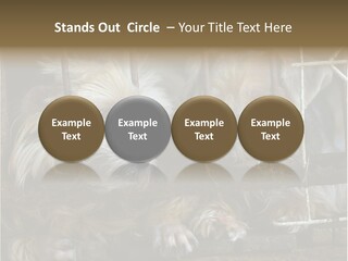 One Loneliness Behind PowerPoint Template