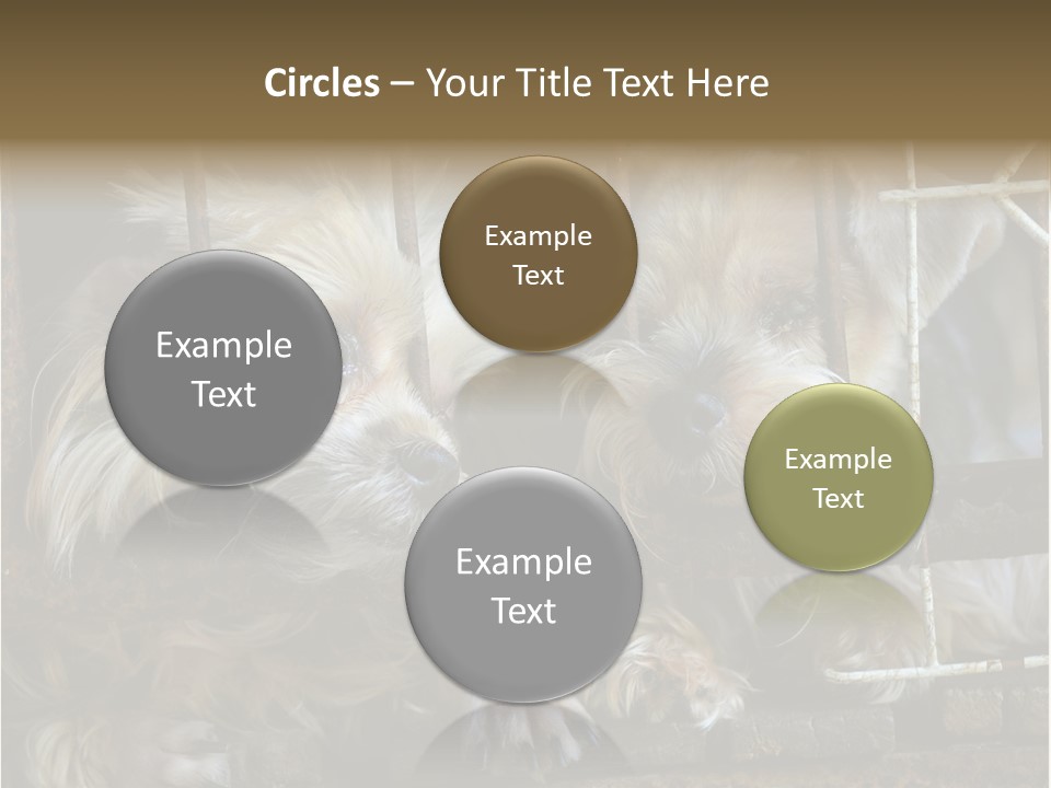 One Loneliness Behind PowerPoint Template