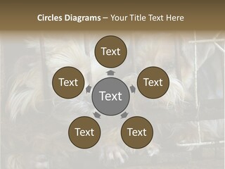 One Loneliness Behind PowerPoint Template