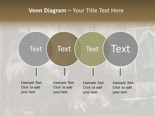 One Loneliness Behind PowerPoint Template