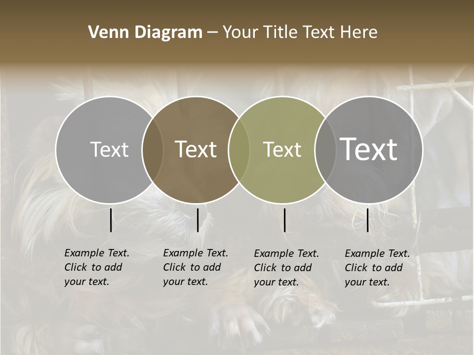 One Loneliness Behind PowerPoint Template