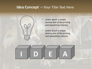 One Loneliness Behind PowerPoint Template