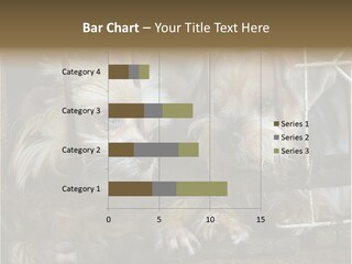 One Loneliness Behind PowerPoint Template