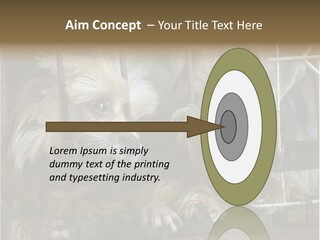 One Loneliness Behind PowerPoint Template