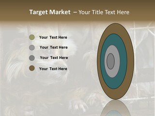 One Loneliness Behind PowerPoint Template