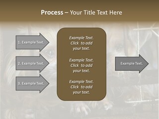 One Loneliness Behind PowerPoint Template
