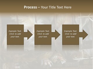 One Loneliness Behind PowerPoint Template