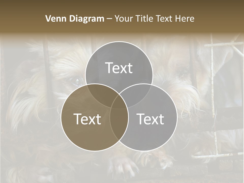 One Loneliness Behind PowerPoint Template
