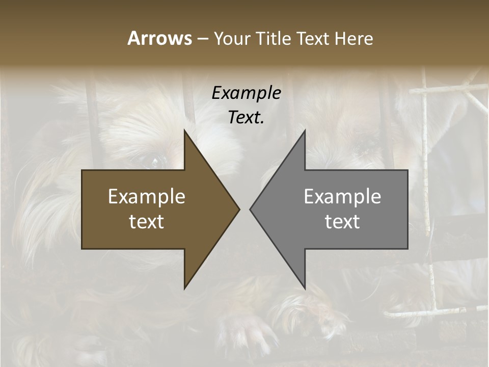 One Loneliness Behind PowerPoint Template