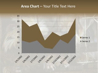 One Loneliness Behind PowerPoint Template
