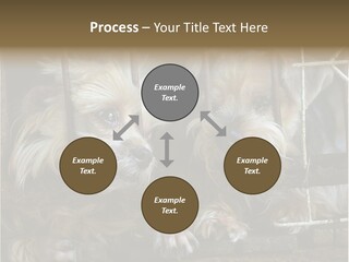 One Loneliness Behind PowerPoint Template