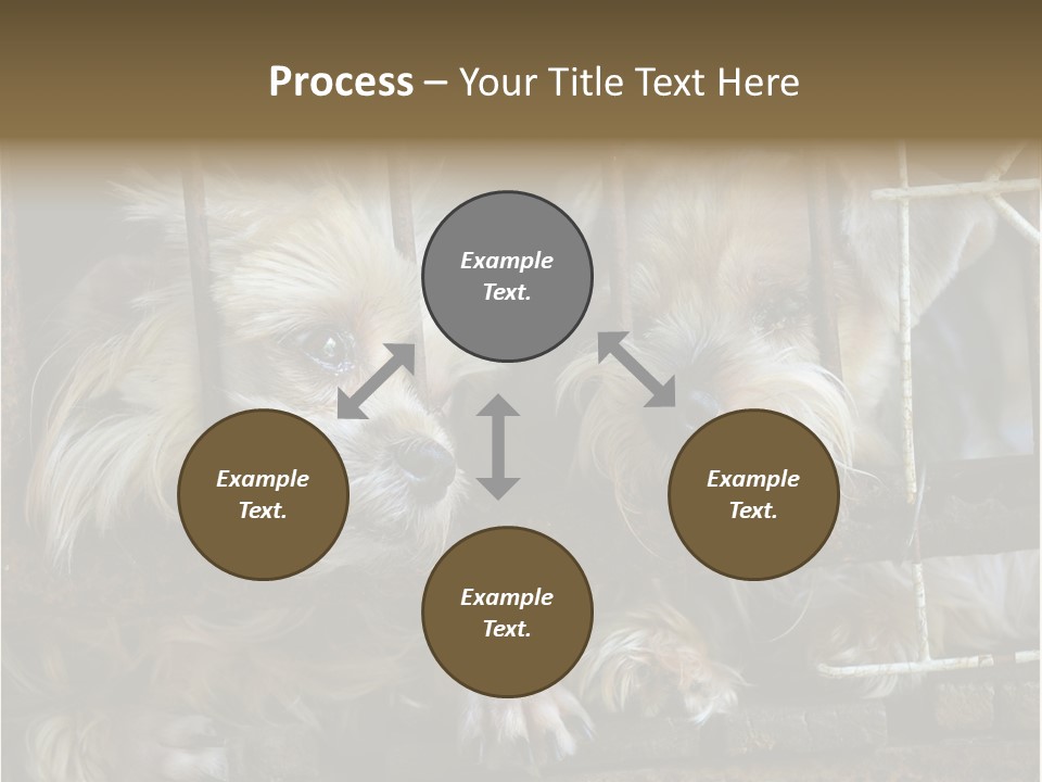 One Loneliness Behind PowerPoint Template
