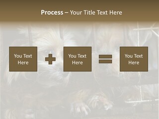 One Loneliness Behind PowerPoint Template