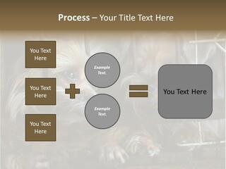 One Loneliness Behind PowerPoint Template