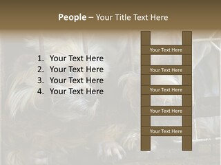 One Loneliness Behind PowerPoint Template