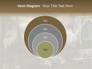 One Loneliness Behind PowerPoint Template