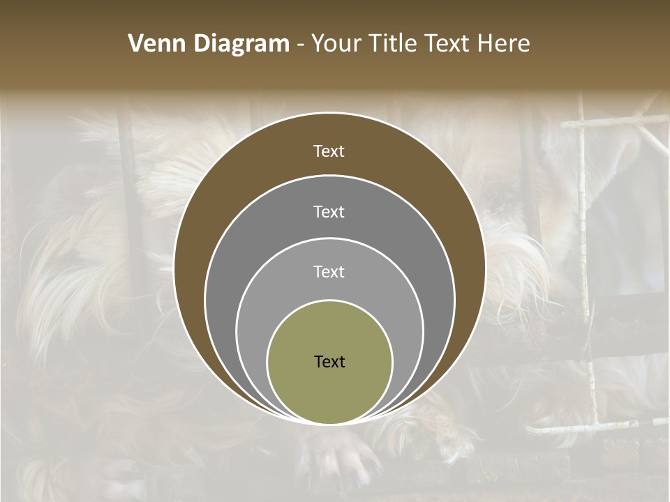 One Loneliness Behind PowerPoint Template